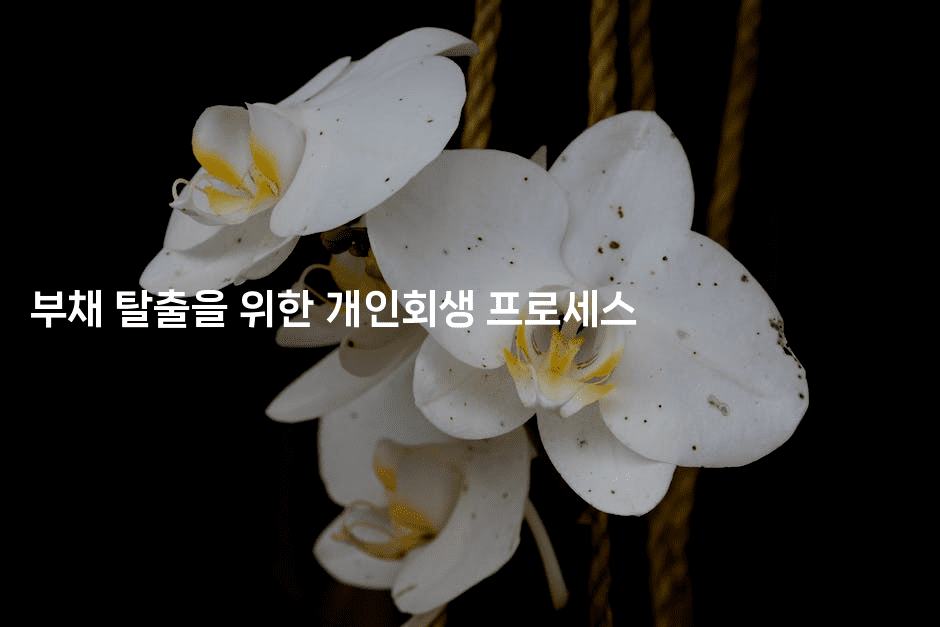 부채 탈출을 위한 개인회생 프로세스-베란따