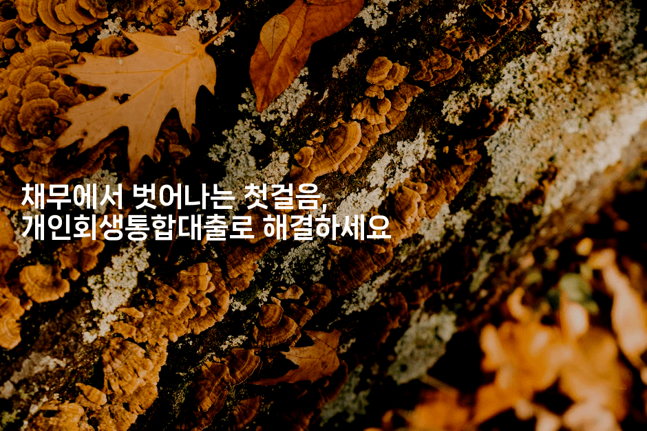 채무에서 벗어나는 첫걸음, 개인회생통합대출로 해결하세요