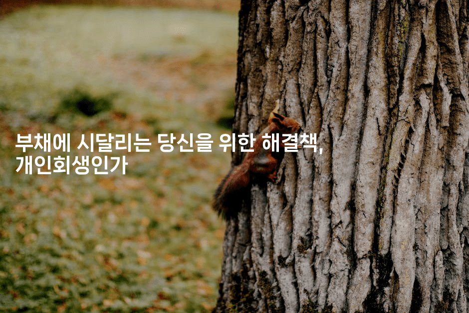 부채에 시달리는 당신을 위한 해결책, 개인회생인가-베란따