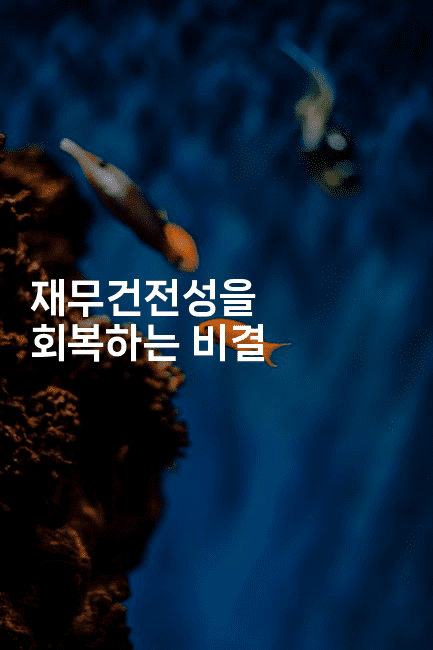 재무건전성을 회복하는 비결-베란따