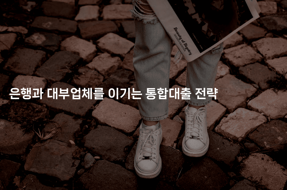 은행과 대부업체를 이기는 통합대출 전략-베란따