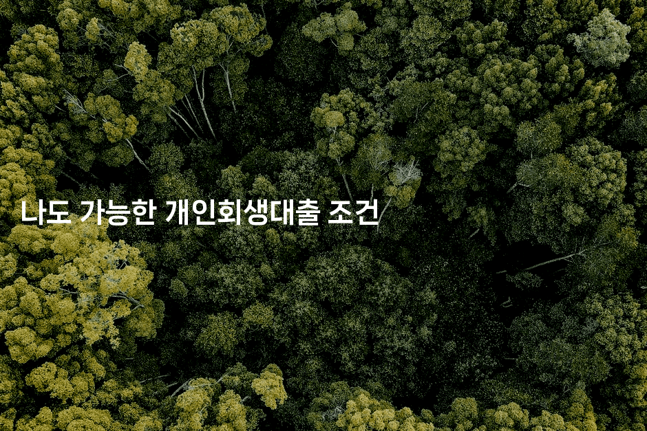 나도 가능한 개인회생대출 조건-베란따