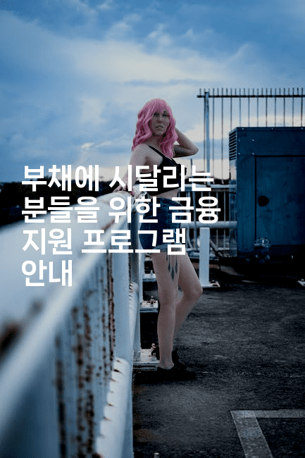 부채에 시달리는 분들을 위한 금융 지원 프로그램 안내-베란따