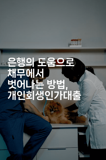 은행의 도움으로 채무에서 벗어나는 방법, 개인회생인가대출-베란따